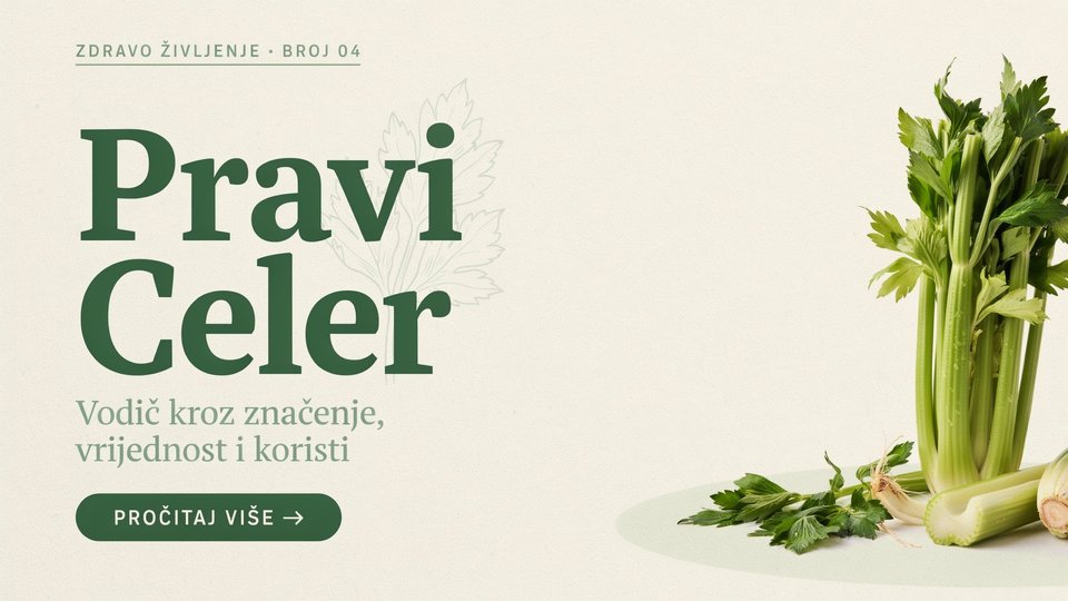 pravi celer